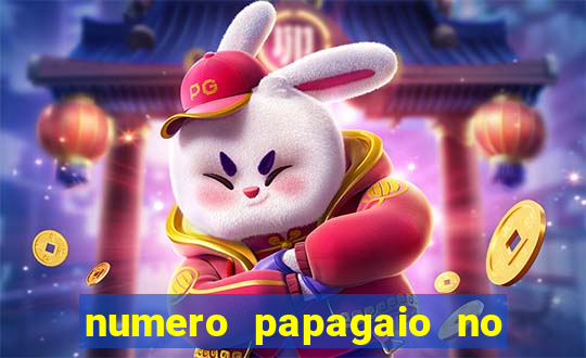 numero papagaio no jogo do bicho