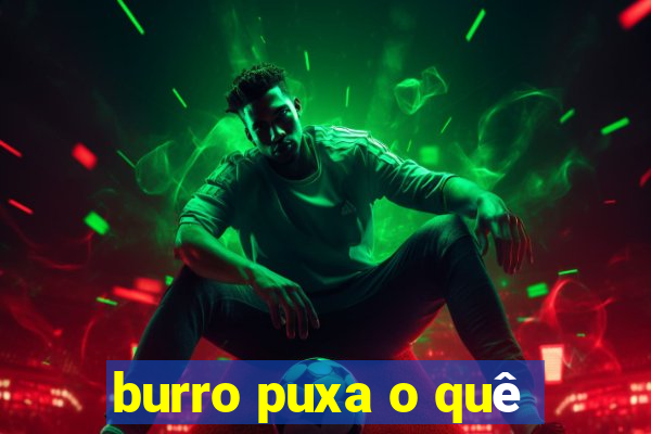 burro puxa o quê