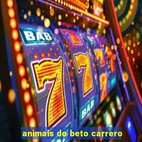 animais do beto carrero