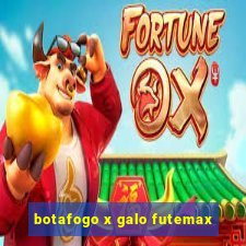 botafogo x galo futemax