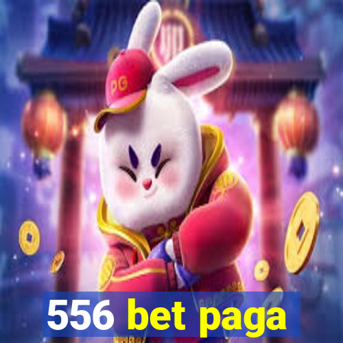 556 bet paga