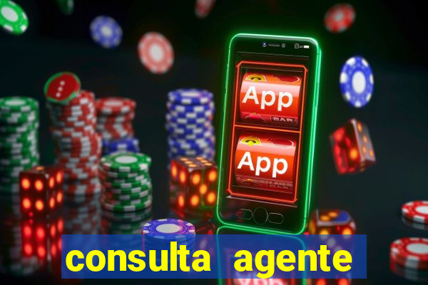 consulta agente autuador sp