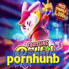 pornhunb